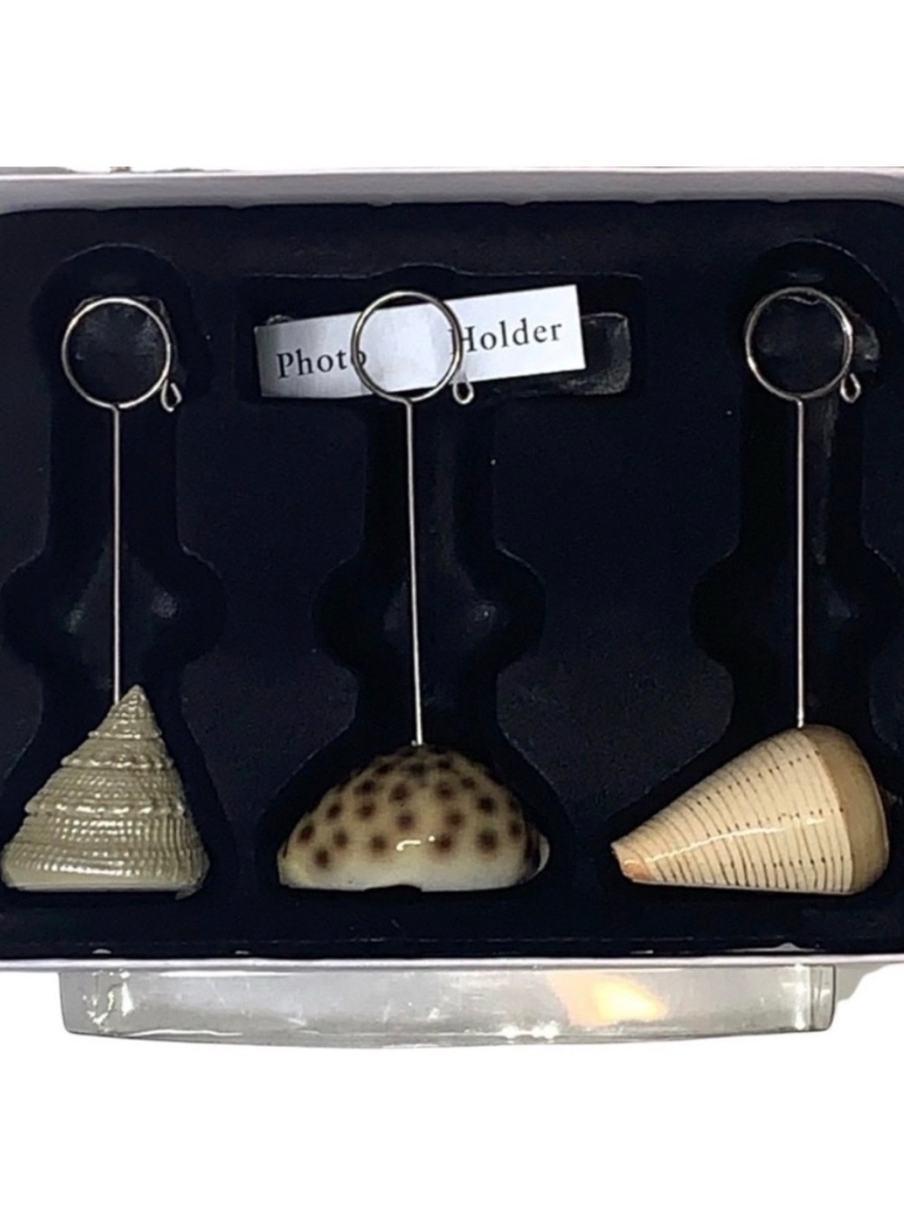 Pier 1 Home Studio Set of 3 Seashell Photo Holders Three Unique Picture Holder